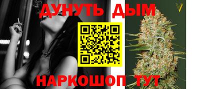 крисы Кулебаки