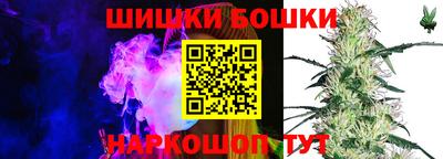 крисы Кулебаки