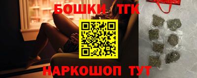 крисы Кулебаки