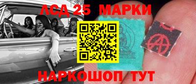 крисы Кулебаки