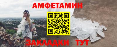 крисы Кулебаки
